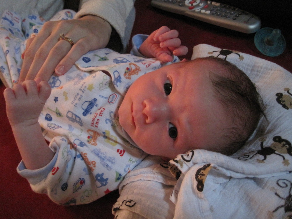 IMG_0693_squashed