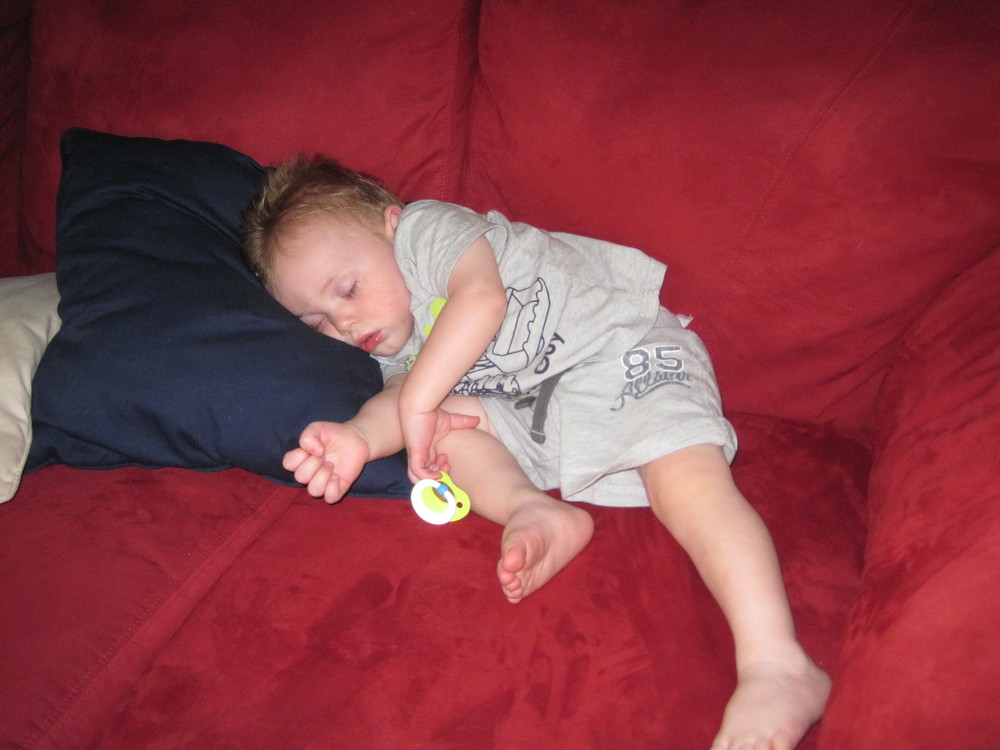 IMG_1000_squashed