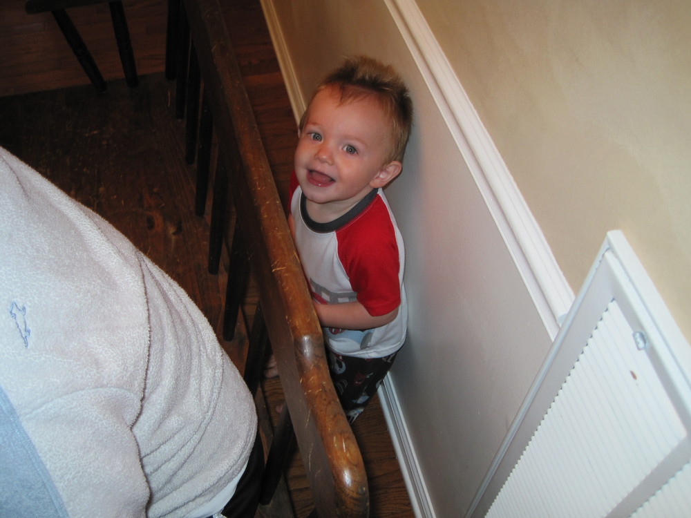 IMG_1005_squashed