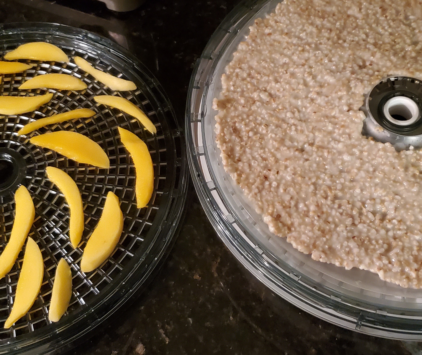 Dehydrating steel cut oatmeal for backpacking | BioStatMatt